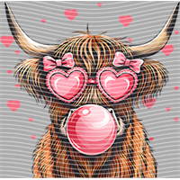 Valentine's Day-QRJ  5342